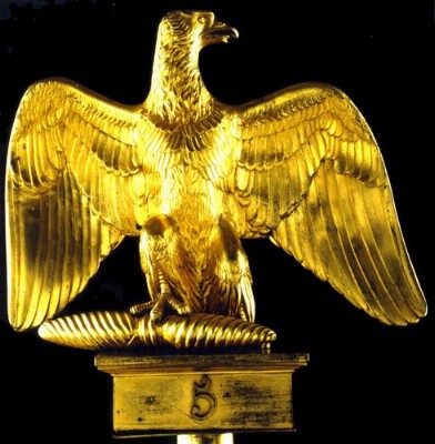 Aigle imp�rial